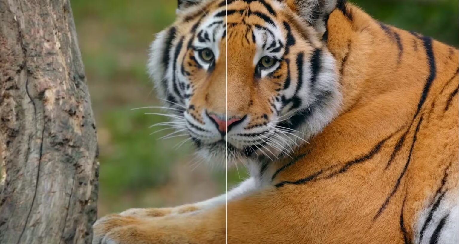 拯救渣画质视频!Aiarty Video Enhancer实测推荐,附注册码 - 小众软件