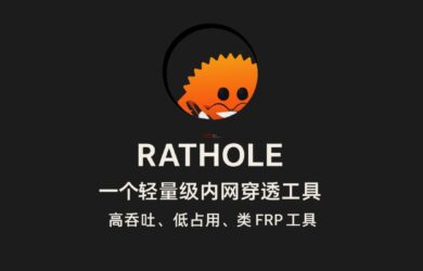 rathole - 一个轻量级开源内网穿透工具，高吞吐、低占用，类 frp 工具 15