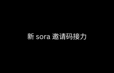 新 sora 邀请码接力 13
