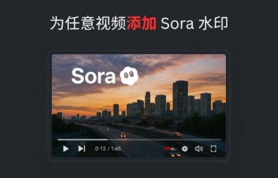 Sora Watermarker - 为任意视频添加 Sora 水印 11