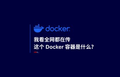 我看全网都在传，这个 Docker 容器是什么？预制菜？ 1