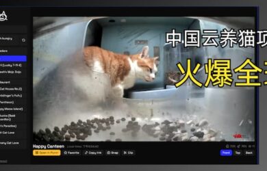 街猫火到国外啦！国外网友为中国云养猫创建猫咪档案、投票、记录…直播 1