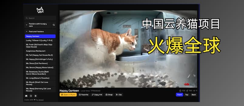 街猫火到国外啦!国外网友为中国云养猫创建猫咪档案、投票、记录…直播 1 街猫火到国外啦!国外网友为中国云养猫创建猫咪档案、投票、记录…直播 1