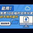 缤纷快传 - 凑合能用！免费1GB临时文件分享，奶牛快传替代品 5