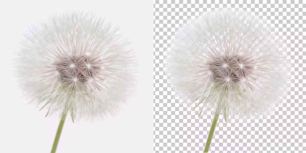 抠图不求人！Aiarty Image Matting 黑五特惠，为效率工作者打造的精准抠图方案 2