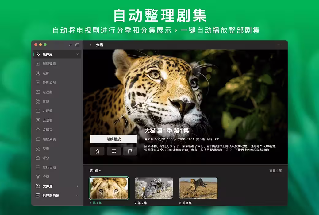 VidHub：一个播放器，打通你所有的网盘、NAS 和本地视频 4