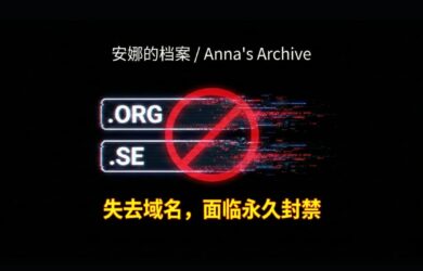 安娜的档案失去 .org、.se 两个域名，还面临永久禁令 9
