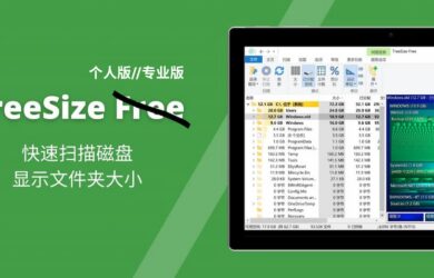 TreeSize - 专业的磁盘空间分析工具，可查找大文件、重复文件[Win] 1