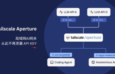 Aperture - Tailscale 本地 AI 中央网关，从此不再泄漏 API KEY 9