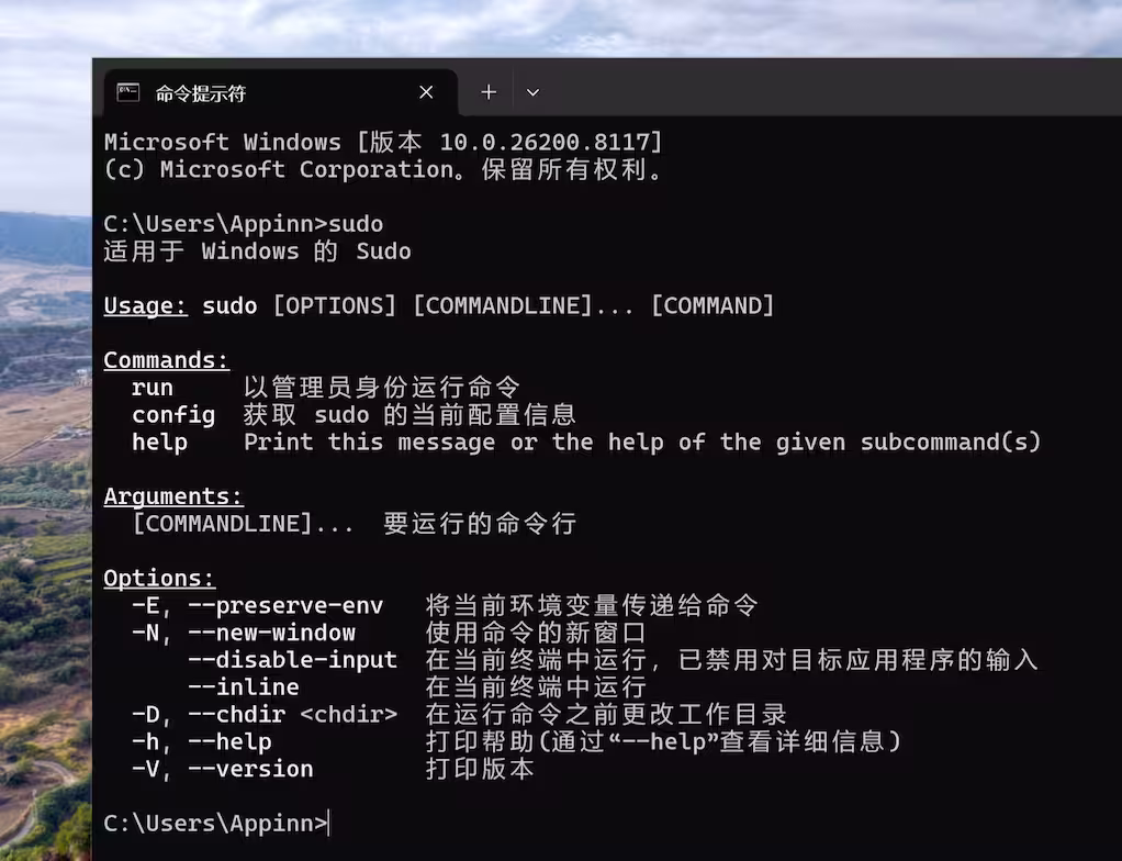 不用再右键“以管理员身份运行”了：为 Windows 11开启原生 sudo 功能（微软官方） 3