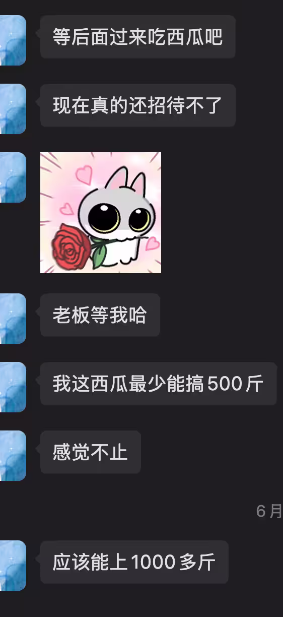 Catime 开发者,真跑去种地了? 6 Catime 开发者,真跑去种地了? 6