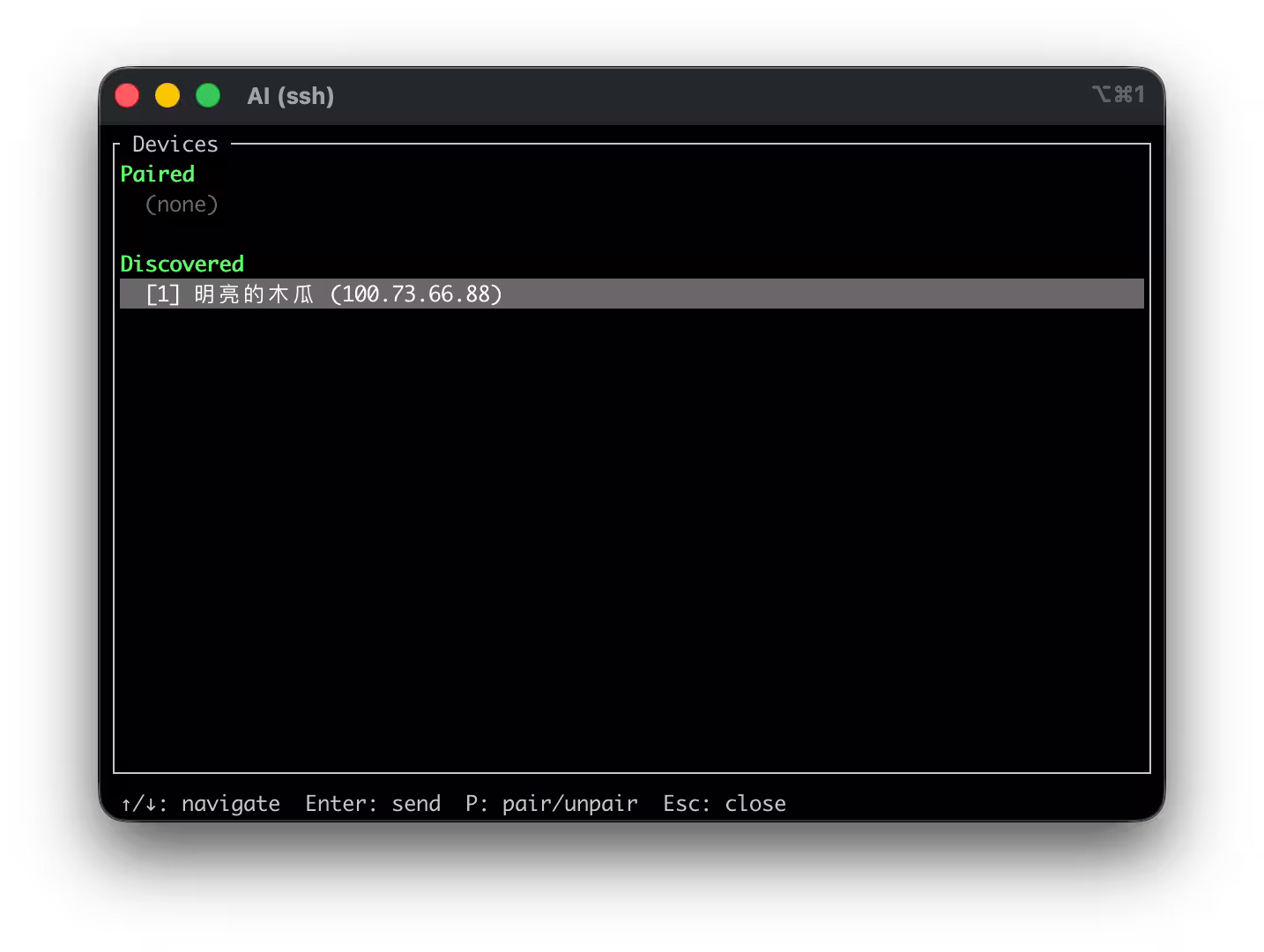 LocalSend 时隔18个月更新,发布第一个 LocalSend CLI 版本,可通过命令行传输文件 3 LocalSend 时隔18个月更新,发布第一个 LocalSend CLI 版本,可通过命令行传输文件 3