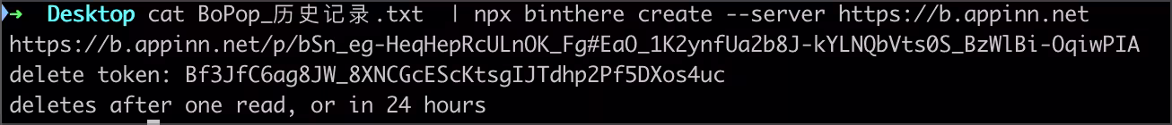 给别人发密码、API 密钥,不想留在聊天记录里?试试 binthere 5 给别人发密码、API 密钥,不想留在聊天记录里?试试 binthere 5
