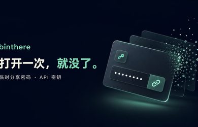 给别人发密码、API 密钥，不想留在聊天记录里？试试 binthere 1