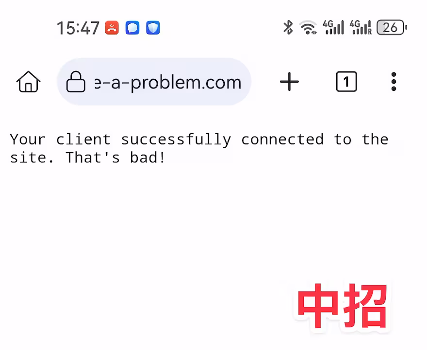 测试你的浏览器安全性：如果能打开这个网站，就踩中了印度证书机构的离谱大雷 2