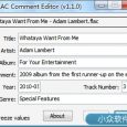 FLAC Comment Editor - 修改 FLAC 文件标签 8