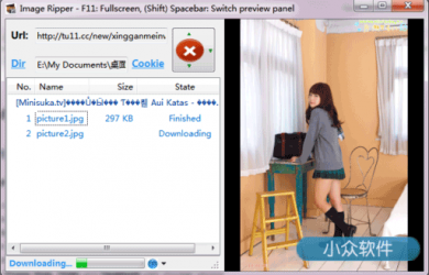 Image Ripper - 周末图片下载 15