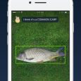 【视频】DeepFish - 记录、识别、统计，钓鱼并与渔友比比看[iPhone] 8