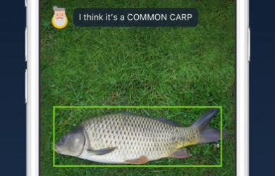 【视频】DeepFish - 记录、识别、统计，钓鱼并与渔友比比看[iPhone] 34