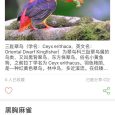 鸟 - 超过 1000 种的鸟类百科大全[iPhone] 6