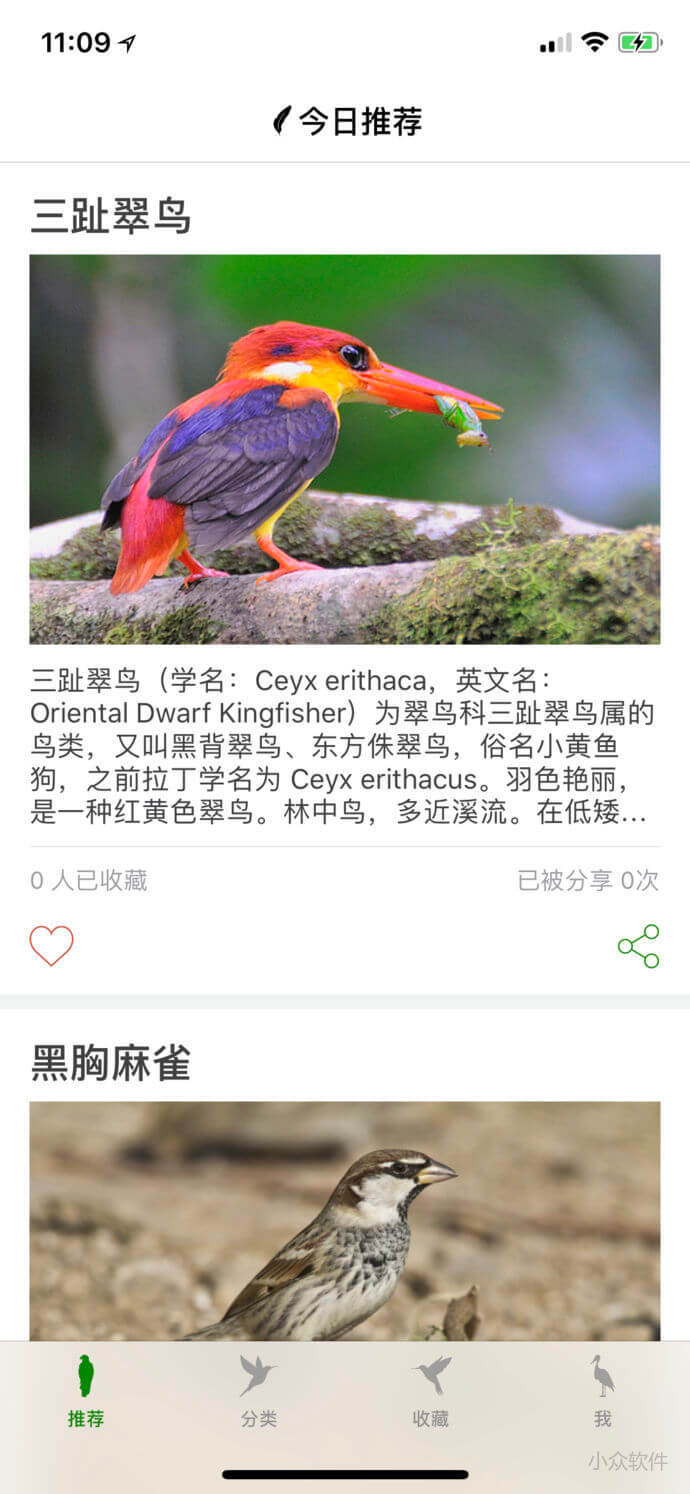 鸟 - 超过 1000 种的鸟类百科大全[iPhone] - 小众软件