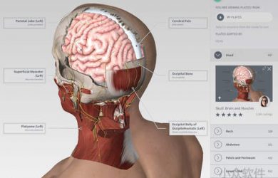 Complete Anatomy - 3D 高清，看遍人体骨骼图[iPad] 15