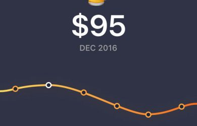 Fly Cash - 带着 Emoji 一起来记账[iPhone/iPad] 40