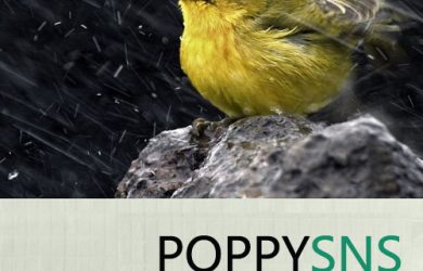 [代招聘]PoppySNS 驻小众软件第四次招聘：PHP程序员 5