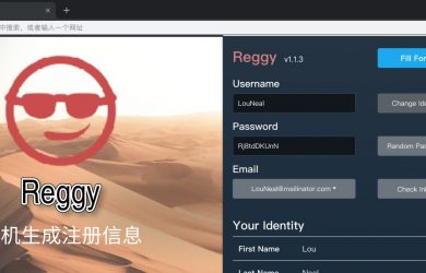 Reggy - 随机生成用户密码邮箱地址，一键填表，保护隐私[Chrome] 7