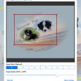 PhotoTangler - 制作微信群风格的「拼贴画」[iOS/Android] 5
