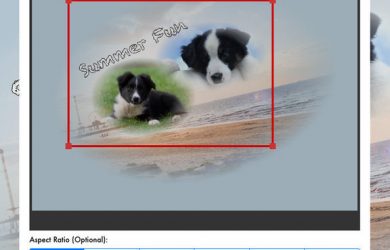 PhotoTangler - 制作微信群风格的「拼贴画」[iOS/Android] 56