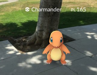 口袋怪物 Pokémon GO 已上架 iOS 与 Android 商店 58