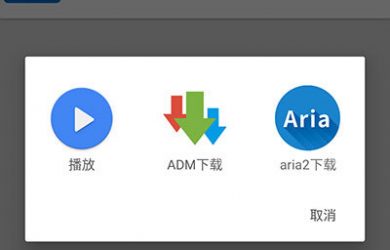 神奇磁力 - 磁力搜索，整合 ADM / Aria2、调用 MX Player 可在线播放视频的 Android 神器 30